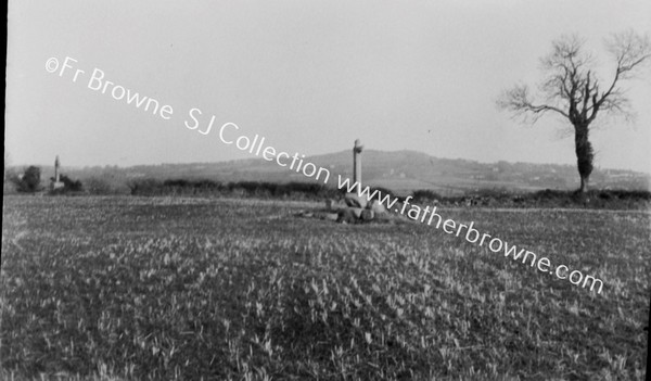 TULLY CHURCH  CROSSES AND KILLINEY